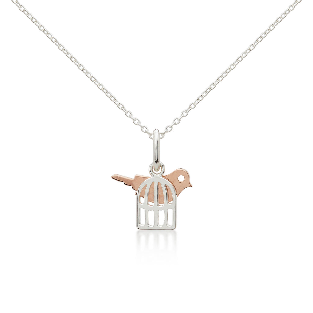 A Sterling Silver cage necklace with a rose gold bird sitting on top. A necklace for girls and teens to wear