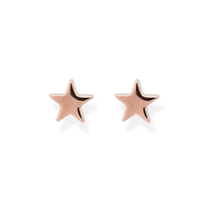 Floating Star Earrings in Rose Gold